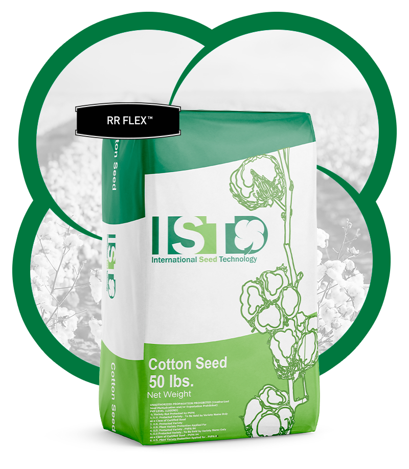 produtos-IST-rr-flex https://lyntera.com.br/wp-content/uploads/2021/08/produtos-IST-rr-flex.png