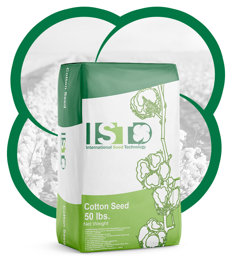 produtos-IST https://lyntera.com.br/wp-content/uploads/2021/08/produtos-IST.png